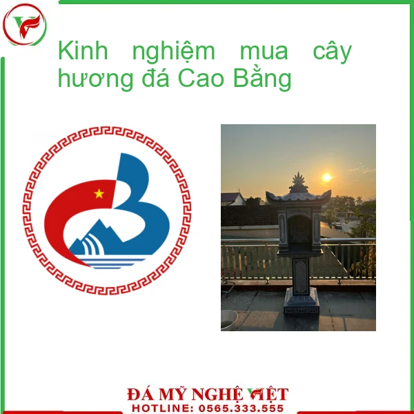 Kinh nghiệm mua cây hương đá Cao Bằng-f2-2004